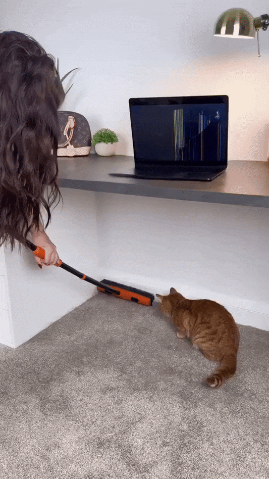 Pet Hair Rubber Broom